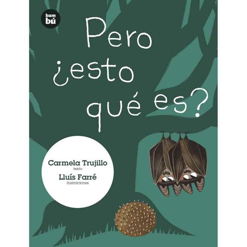 Pero ¿esto qué es?