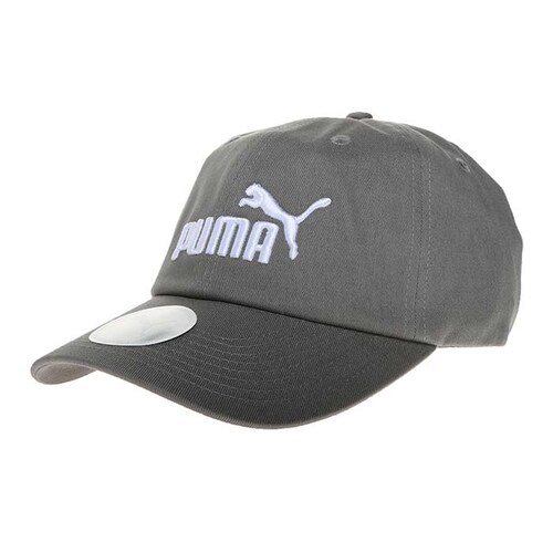 Gorra Puma Unisex Essencial Cap Gris 2241632