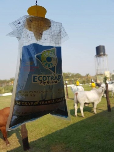 Trampa para Moscas Jumbo Altamente Efectiva Ecotrap Fly Guard 
