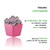 Smart Garden Kit 3 x Maceta autorregable RA1009 Decorativa Cuadrada bajita - Mini Moderna suculentas - Riego Inteligente - Rosa brilloso - Plástico ABS Anti UV (10cm de diámetro x 9cm de Alto)