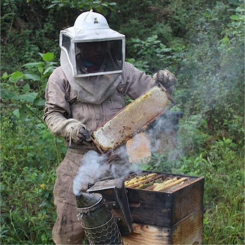 Miel ORGANICA San Ignacio Mezquite Untable Frasco 1500gr USDA Organic SAGARPA Organico 100% pura de abeja