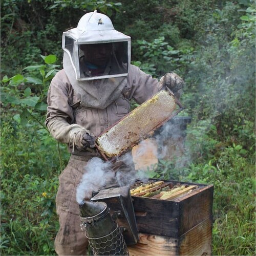 Miel ORGANICA San Ignacio Mezquite Untable Frasco 750gr USDA Organic SAGARPA Organico 100% pura de abeja