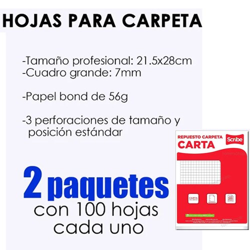 Hojas De Repuesto Cuadro Grande P Carpeta Profesional Carta scribe .