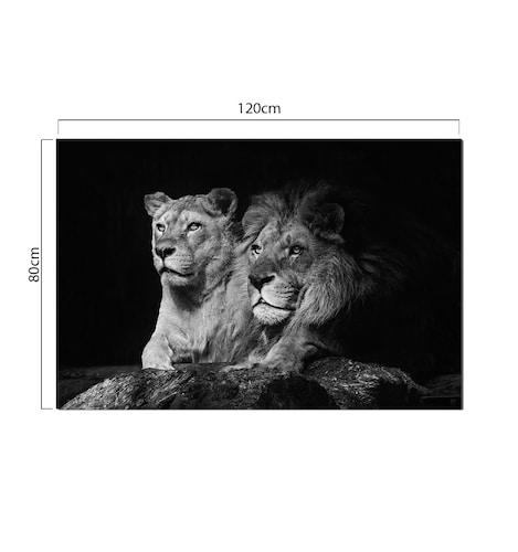 Cuadro Decorativo León Blanco y Negro | 80x120cm lienzo canvas 100% Algodón | DECOGALERIA | Listo para Colgar