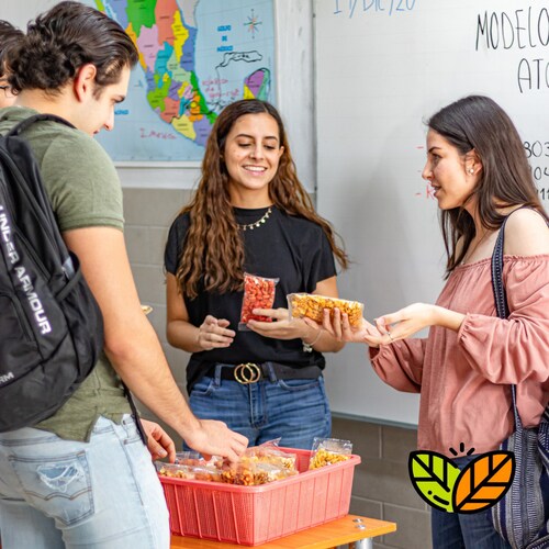 Botanas Bloffis - Snack Saludable Maiz Inflado A Vapor Precio Mayoreo Gluten Free 200 Pack, Mix de Sabores 50 gr cada bolsita - Maicitos Bloffis Sabores Variados Deliciosa Botanta Sin aceite, Nutritivo - ¡Comienza tu propio negocio!