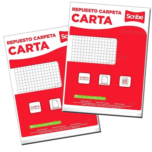 Hojas De Repuesto Cuadro Grande P Carpeta Profesional Carta scribe .
