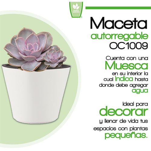 Smart Garden Maceta autorregable OC1009 Decorativa, Ovalada - Mini, Moderna, Interior - Suculentas - Autorriego Inteligente - Plástico ABS Anti UV (10cm de diámetro x 9cm de Alto) (1, Blanco Mate)