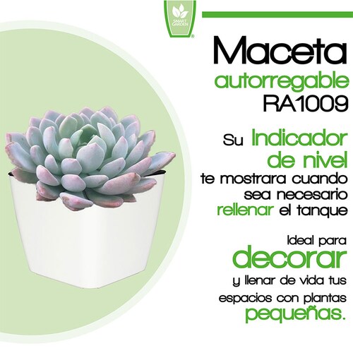 Smart Garden Maceta autorregable RA1009 decorativa ovalada bajita Mini Autorriego inteligente Blanco Mate Plástico ABS anti UV (10cm de diámetro x 9cm de alto)