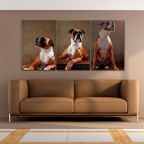 Cuadros Decorativos Bóxer MobileCity Set 3 piezas 40 x 60