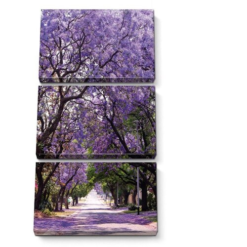 Cuadros Decorativos Bugambilias MobileCity Set 3 piezas 40 x 60