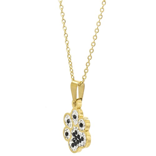 Dije Acero NK huella de perro con piedras