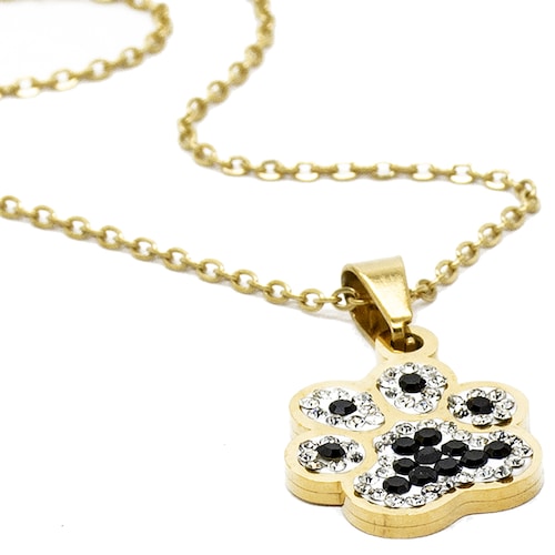 Dije Acero NK huella de perro con piedras
