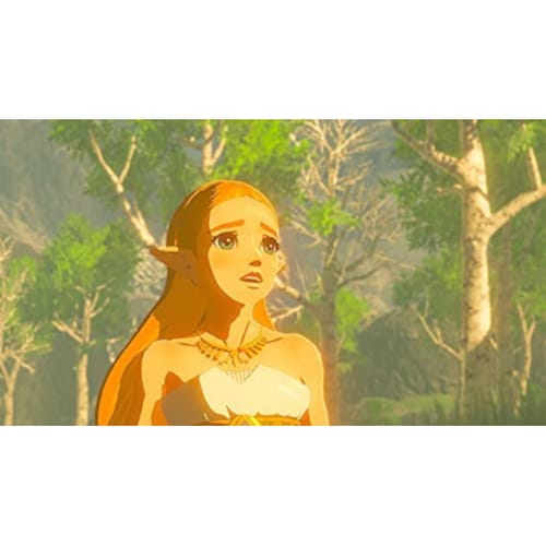 Legend Of Zelda Botw Breath Of The Wild