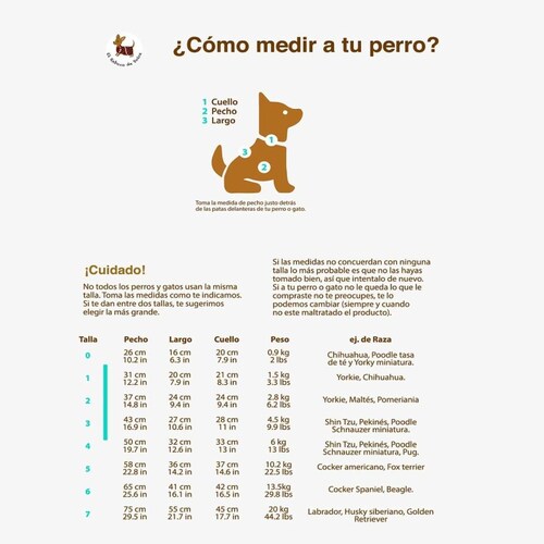 Kit Jorongo para Mascota + Chal de Mujer Unitalla Azul marca El Rebozo de Dolce