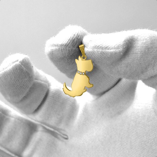 Dije Perro Schnauzer  VAROURO  Oro 10k | Medalla Amor + Cadena Regalo.