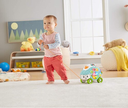 Linkimals Erizo Formas Luminosas fisher price