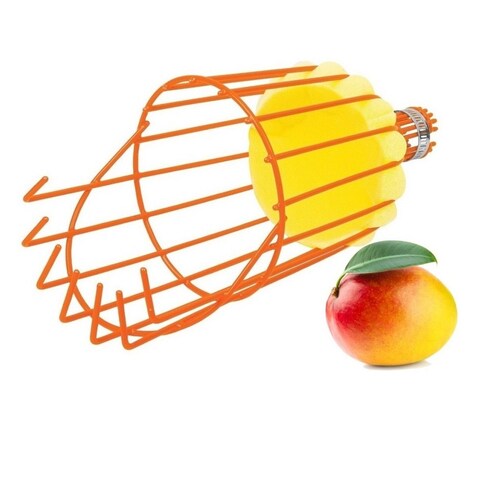 Recolector de frutas Recolector de frutas plateado, sin mango