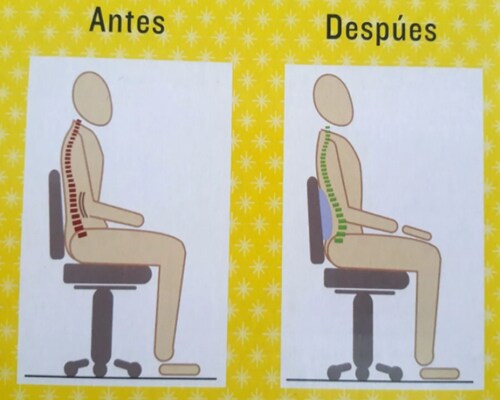 almohada cojin de soporte lumbar