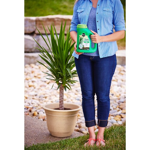 MIRACLE-GRO ALIMENTO PARA PLANTAS DE PALMAS 2.04 KG
