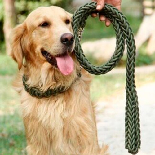 Correa Collar Perro Grande Gruesa Resistente Suave Larga Verde