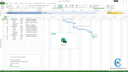 LICENCIA PROJECT PROFESSIONAL 2021 DIGITAL