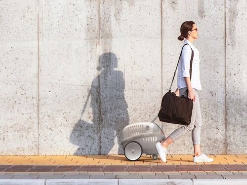 Transportadora Portátil Para Mascota Con Ruedas Loboo Bubble Pet Carrier Raza Pequeña