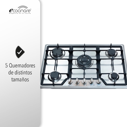 Parrilla A Gas Lp y Gas Natural Plateada Acero Inoxidable 5 Quemadores 120v