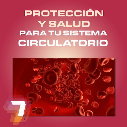 Lincasol Plus 60 Caps Presión Arterial Corazón Hipertensión
