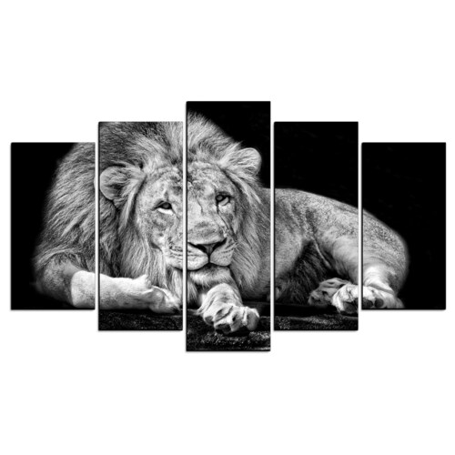 Cuadro Decorativo Leon Gris Fondo Negro 100x60cm 5pzs Cuadros MX