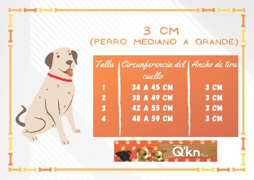 Collar piel 3cm trompillo