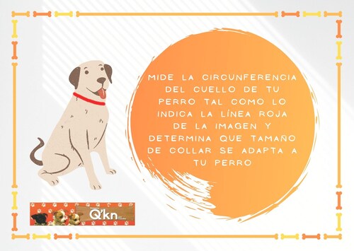 Collar de piel para perro 5cm estampado