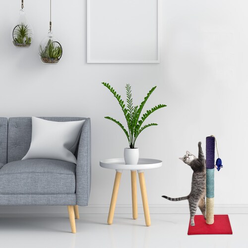Poste Rascador Gato Grande 70cm Gratis Catnip-Sisal+Juguete
