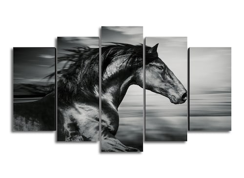 Cuadro Decorativo Animales Caballo Negro Blanco/Negro 100x60cm 5pzs Cuadros MX
