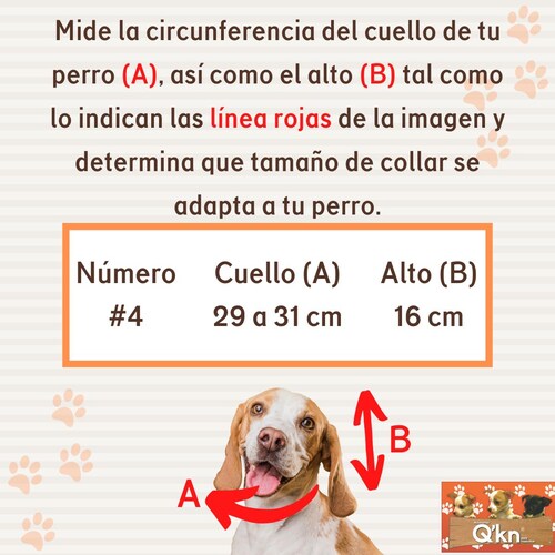 Collar Isabelino Económico #4 Para Mascotas Qkn