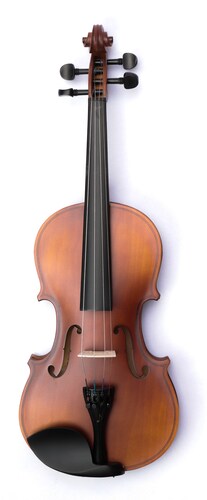Violín 4-4 Acústico Profesional Madera Estuche Y Accesorios