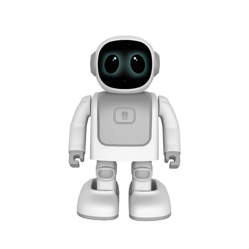 Robot Robert 