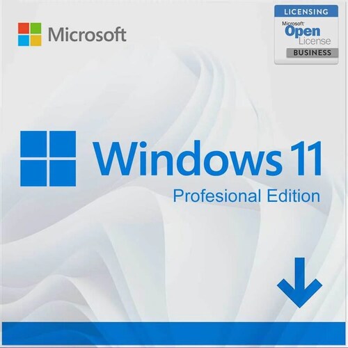 Windows 11 Professional + Office 2021 Professional Plus 