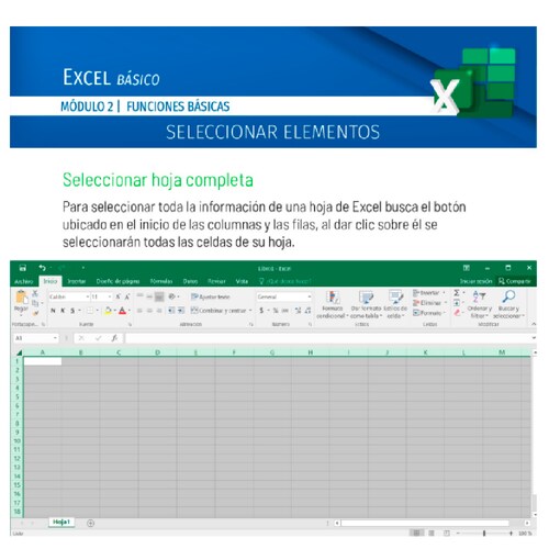 Curso Excel Office Básico, BUnited Virtual con acompañamiento