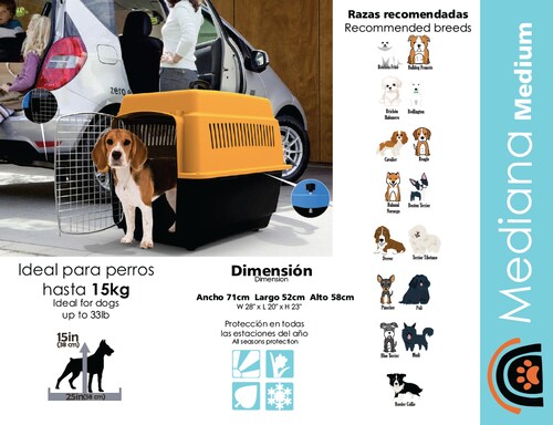 Transportadora Mediana Kennel Para Perros Y Gatos