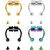 Set 5 Piercing Anillo Nariz Magnetico Falso Sin Perforacion