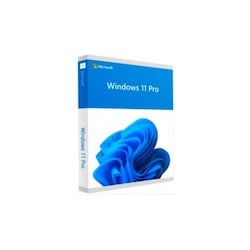 LIC WINDOWS MS 11 PROFESIONAL 1U 64 BITS PERMANENTE FQC-10553.