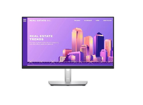 Monitor Dell P2422h Lcd 24 Full Hd 60hz Negro/plata