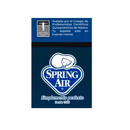 Colchon Individual Spring Air De Colchoneta Premier