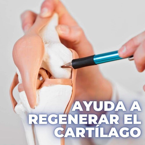 Art-Flx articulaciones, con Cúrcuma, Ajo,Jengibre,Calcio, Frasco de 60 capsulas.