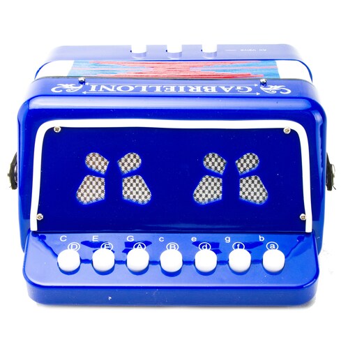 Acordeon Profesional Para Niños De 9 Botones Graves Agudos