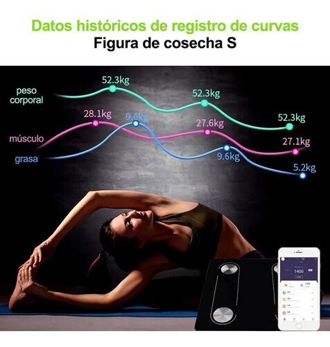 Escala De Grasa Corporal Digital Inteligente Bluetooth 4.0 Negra