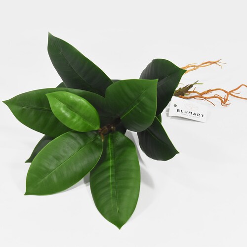 Planta Brote De Magnolia Artificial Árbol Con Raíz 33 Cm