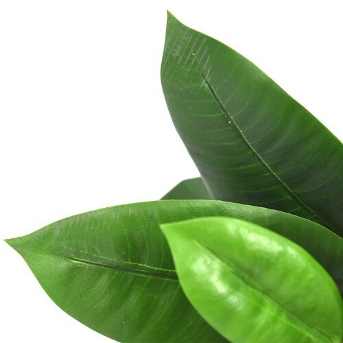 Planta Brote De Magnolia Artificial Árbol Con Raíz 33 Cm