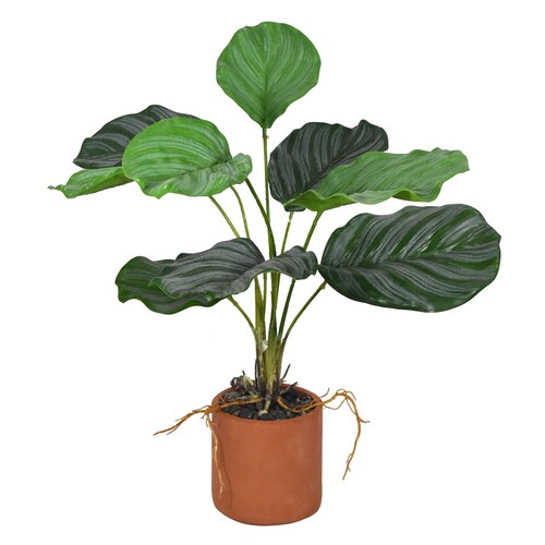 Planta De Filodendro Artificial Planta Fina Con Raíz 45 cm