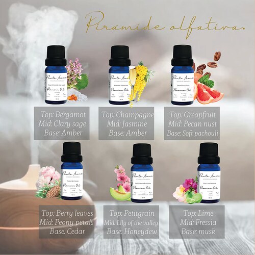 Set de 6 fragancias para difusor humidificador -   (Atelier Choice)